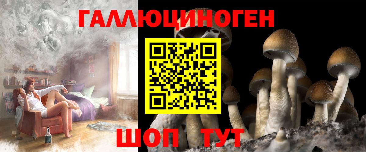 Псилоцибиновые грибы Psilocybine cubensis  Вход с VPN  Берёзовский 